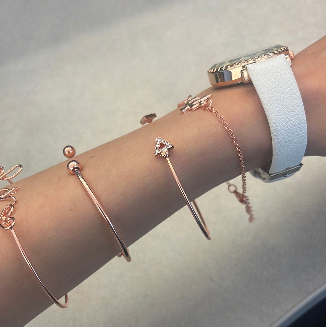 Women 5 piece watch set